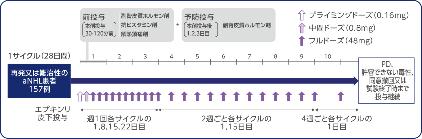 海外第Ⅰ/Ⅱ相試験（GCT3013-01試験、第Ⅱ相パート aNHLコホート