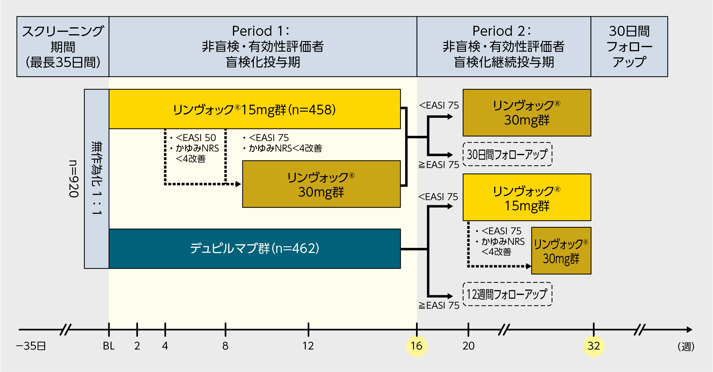 国際共同試験：第Ⅲb/Ⅳ相無作為化非盲検有効性評価者盲検化試験
