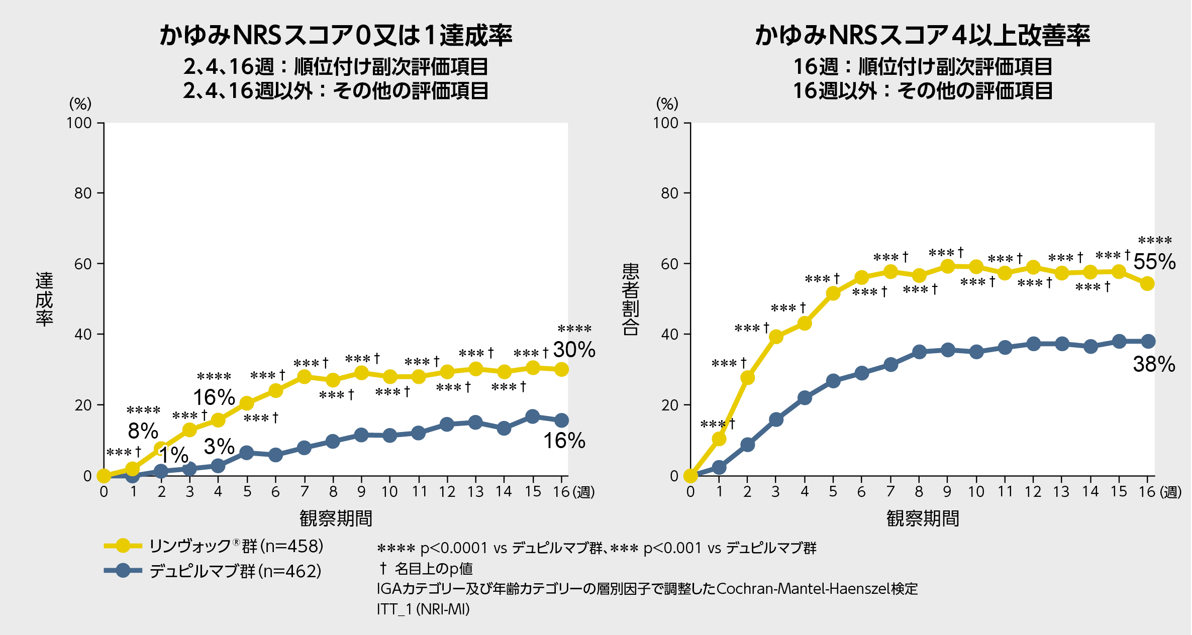国際共同試験：第Ⅲb/Ⅳ相無作為化非盲検有効性評価者盲検化試験