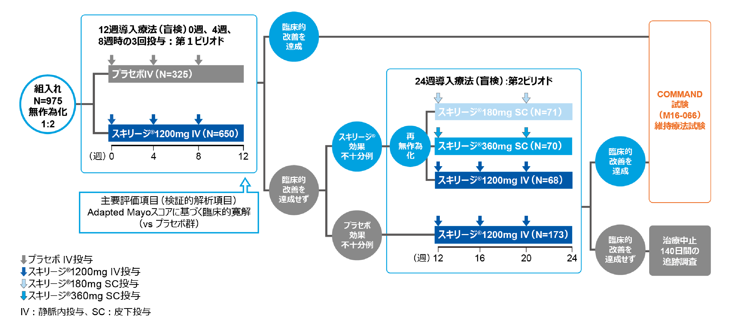 国際共同第Ⅲ相臨床試験：INSPIRE｜スキリージ｜製品情報｜A