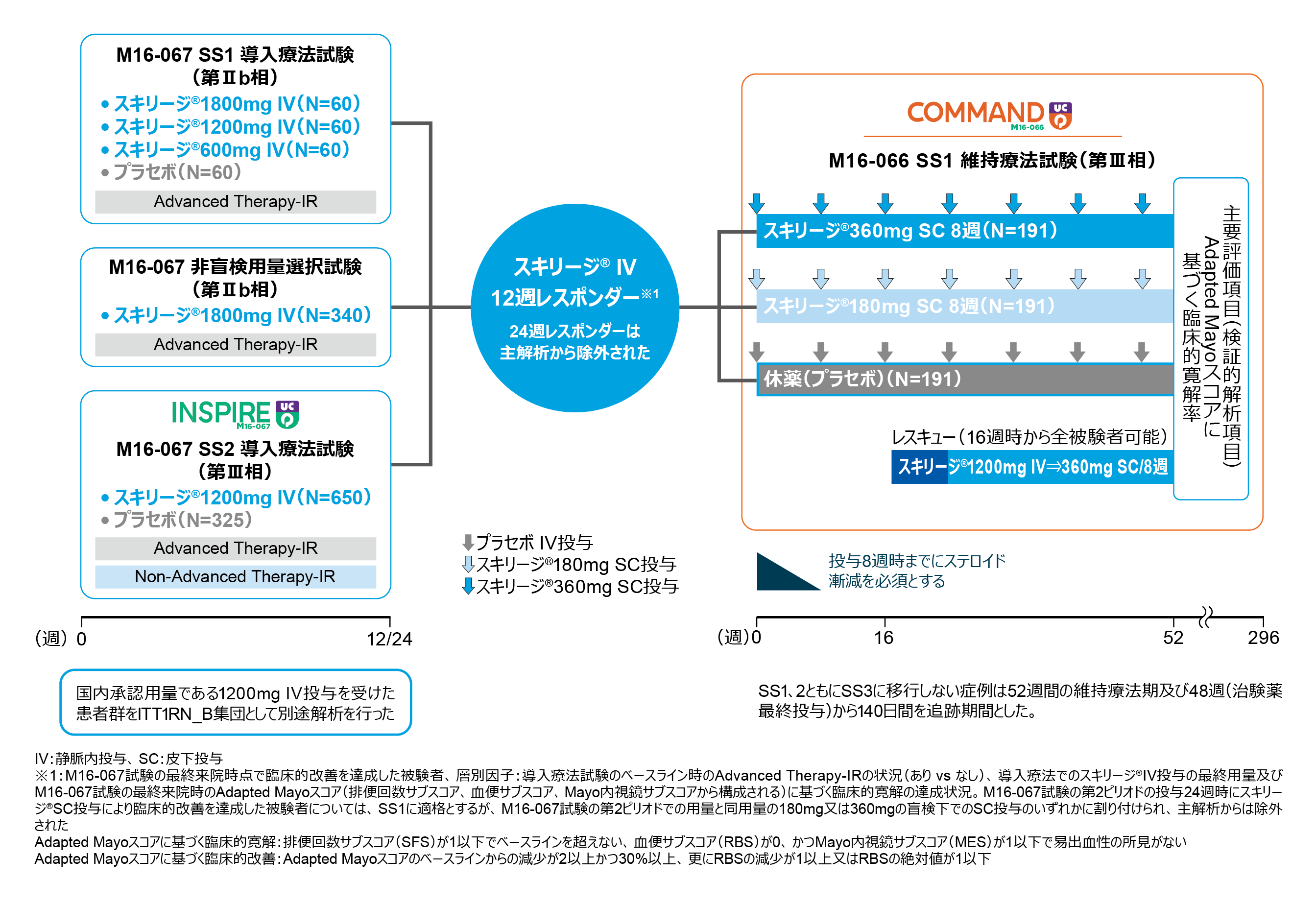 国際共同第Ⅲ相臨床試験：COMMAND｜スキリージ｜製品情報｜A