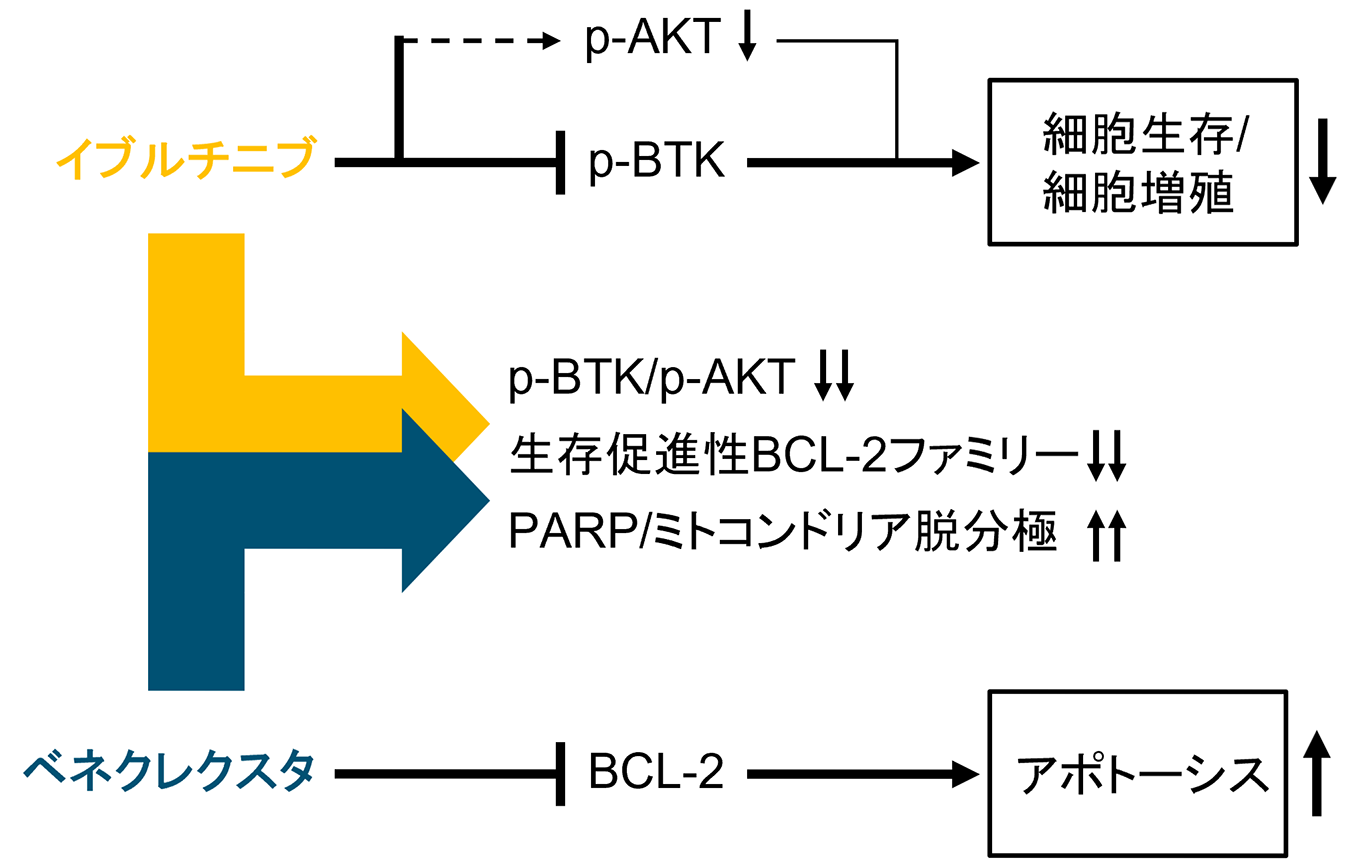 赤青マジック微高レートアドレナリン統一 0-191-23 救急ワゴン レッド SK-27R1(ロック付き) 【AXEL】 アズワン