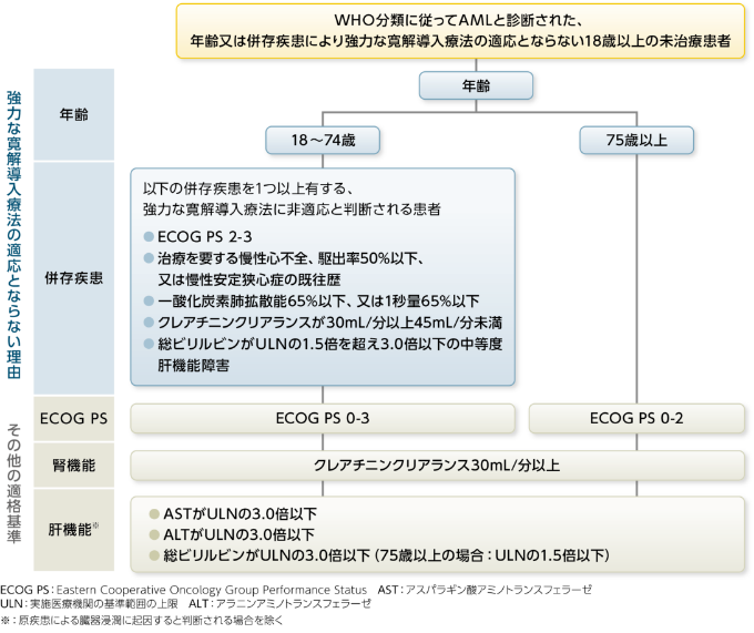 適正使用のポイント：患者選択｜べネクレクスタ｜製品情報｜A-CONNECT